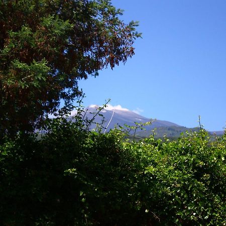B&B Sotto I Pini Цафферана-Этнея Экстерьер фото
